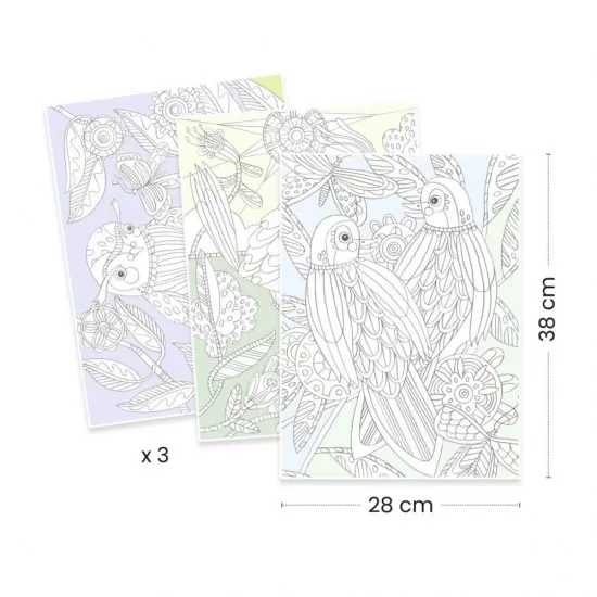 Mapa cu 3 postere de colorat Djeco - Pasari Mapa cu 3 postere de colorat Djeco - Pasari