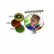 Microscop portabil Navir Microscop portabil Navir
