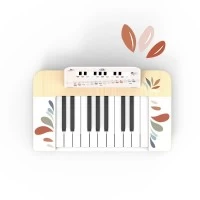 Pian din lemn pentru copii Speedy Monkey