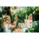 Primul set de crescut plante Orange Tree Toys 35 piese Primul set de crescut plante Orange Tree Toys 35 piese