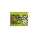 Set creativ Picteaza cu numere Variatii botanice, Moulin Roty Set creativ Picteaza cu numere Variatii botanice, Moulin Roty
