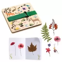 Set DIY Djeco - Botanist în devenire