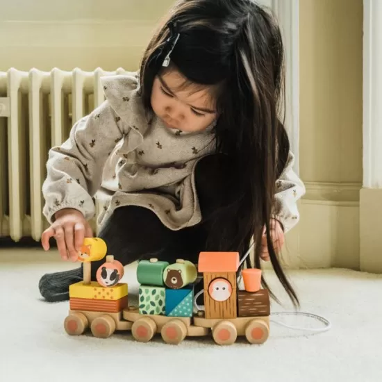 Trenulet din lemn cu forme si animale Orange Tree Toys Trenulet din lemn cu forme si animale Orange Tree Toys