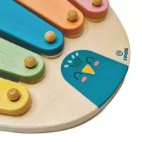 Xilofon colorat din lemn Paun Svoora