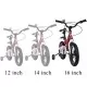 Bicicleta pentru copii 5-8 ani HappyCycles KidsCare, roti 16 inch, cu roti ajutatoare si frane pe disc, rosu Bicicleta pentru copii 5-8 ani HappyCycles KidsCare, roti 16 inch, cu roti ajutatoare si frane pe disc, rosu