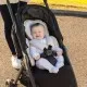 Pernuta reductor pentru scaunul auto gri Clevamama Pernuta reductor pentru scaunul auto gri Clevamama