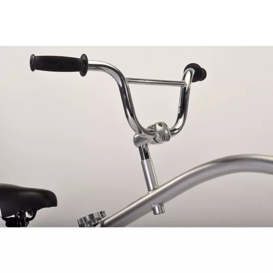 Bicicleta Co-Pilot WeeRide WR06 gri