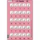 Set 16 Puzzle-uri Inmultire si Impartire, 25 Piese Larsen LRP49 Set 16 Puzzle-uri Inmultire si Impartire, 25 Piese Larsen LRP49
