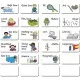 Set magnetic Cat e Ceasul Fiesta Crafts Set magnetic Cat e Ceasul Fiesta Crafts
