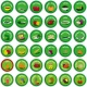 Set magnetic Mananca sanatos - Eat Well Chart Fiesta Crafts Set magnetic Mananca sanatos - Eat Well Chart Fiesta Crafts