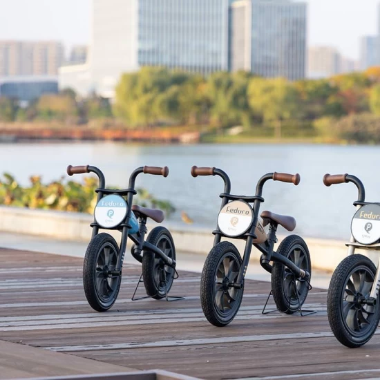 Bicicleta fara pedale Balance Bike QPlay Feduro Albastru