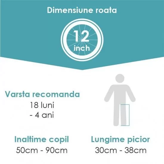 Bicicleta fara pedale Balance bike QPlay Racer Negru Bicicleta fara pedale Balance bike QPlay Racer Negru