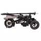Tricicleta cu roti de cauciuc Qplay Rito Rubber Rosu Tricicleta cu roti de cauciuc Qplay Rito Rubber Rosu