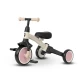 Tricicleta evolutiva pliabila cu maner parental Qplay Stager Roz