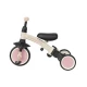 Tricicleta evolutiva pliabila cu maner parental Qplay Stager Roz