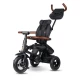 Tricicleta pliabila Qplay Rito Deluxe Negru Tricicleta pliabila Qplay Rito Deluxe Negru