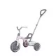 Tricicleta cu maner parental Qplay Ant Plus Roz Tricicleta cu maner parental Qplay Ant Plus Roz