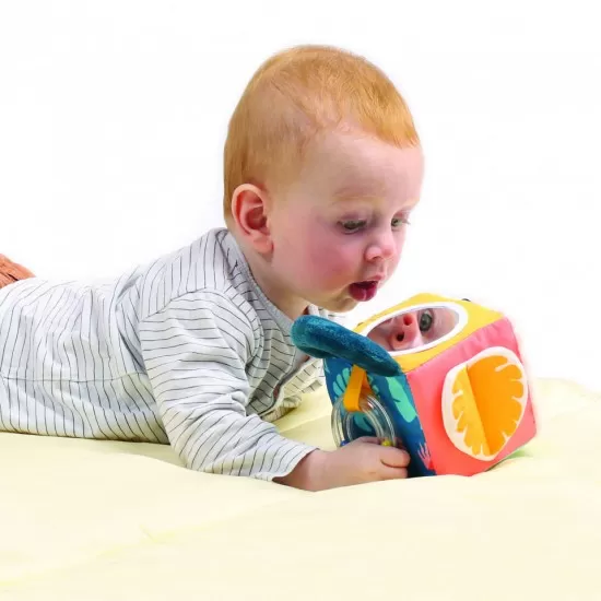 Cub activitati frunza Ludi Cub activitati frunza Ludi