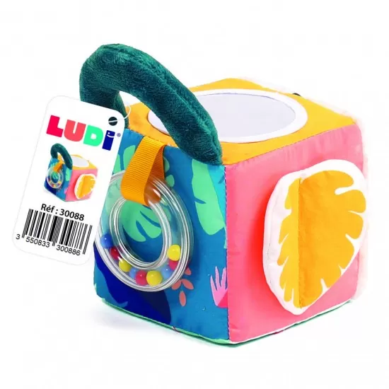 Cub activitati frunza Ludi Cub activitati frunza Ludi
