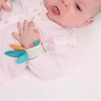 Jucarii senzoriale, manute si picioruse Ludi