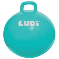 Minge saltareata Blue 55 cm Ludi