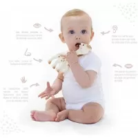 Pachet Girafa Sophie si zornaitoare Maracas