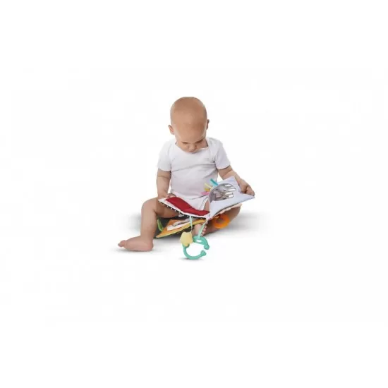 Jucarie bebe Vulli - Primul meu album foto