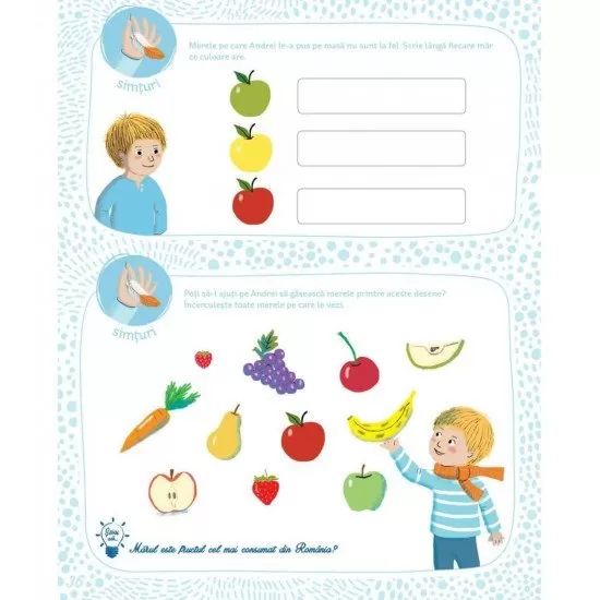 Caietul meu de activitati Montessori Caietul meu de activitati Montessori