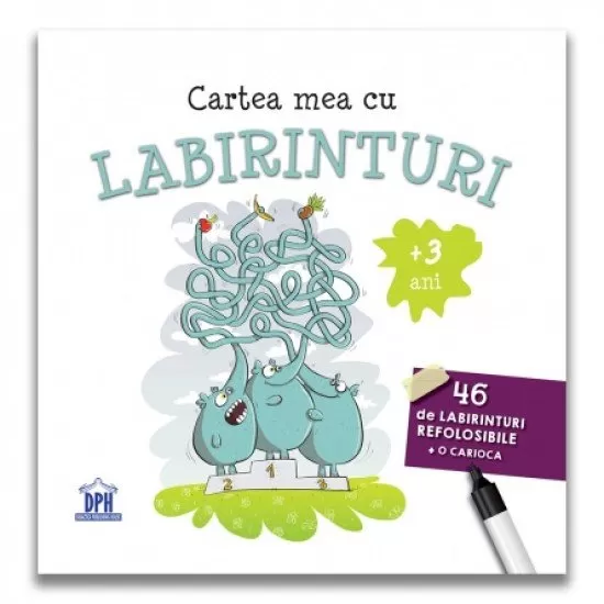 Cartea mea cu labirinturi Cartea mea cu labirinturi
