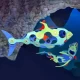 Joc magnetic de construit Clixo - Animalute marine 24 piese Joc magnetic de construit Clixo - Animalute marine 24 piese