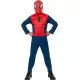 Costum de carnaval standard - Spiderman Costum de carnaval standard - Spiderman