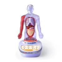 Set educativ Descopera corpul uman - Enciclopedie Interactiva STEAM