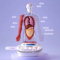 Set educativ Descopera corpul uman - Enciclopedie Interactiva STEAM