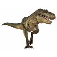 Diapozitive Dinozauri