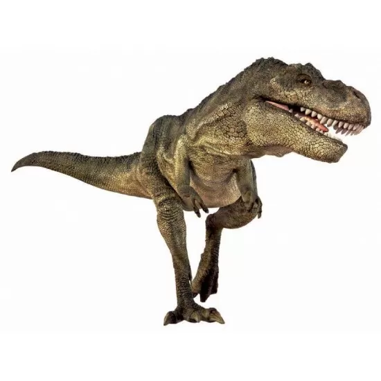 Diapozitive Dinozauri