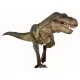 Diapozitive Dinozauri