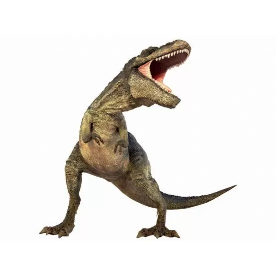 Diapozitive Dinozauri