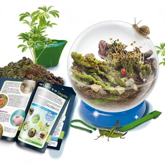 Experimentele micului geniu - Habitate si ecosisteme Experimentele micului geniu - Habitate si ecosisteme