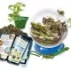 Experimentele micului geniu - Habitate si ecosisteme Experimentele micului geniu - Habitate si ecosisteme