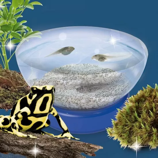 Experimentele micului geniu - Habitate si ecosisteme Experimentele micului geniu - Habitate si ecosisteme