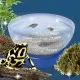 Experimentele micului geniu - Habitate si ecosisteme Experimentele micului geniu - Habitate si ecosisteme