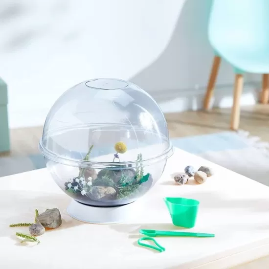 Experimentele micului geniu - Habitate si ecosisteme Experimentele micului geniu - Habitate si ecosisteme