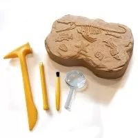 Kit excavare fosile GeoSafari