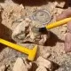 Kit excavare fosile GeoSafari Kit excavare fosile GeoSafari