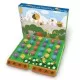 Joc educativ in limba engleza - Gradina cu litere Joc educativ in limba engleza - Gradina cu litere
