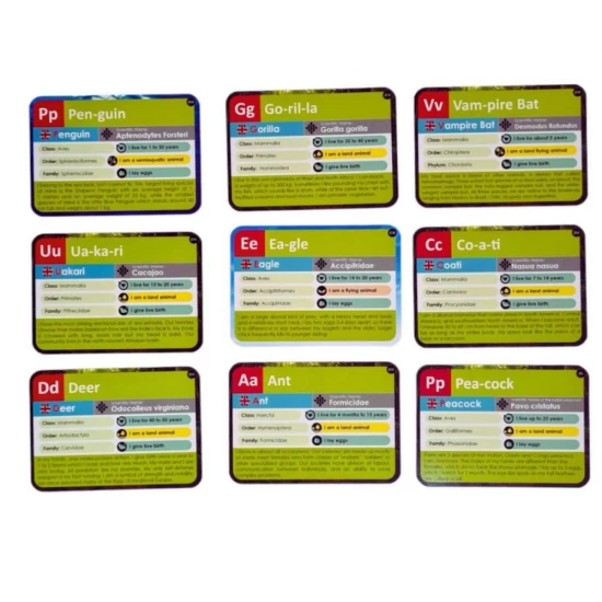 Joc lingvistic Learning Cube - Arca lui Noe Joc lingvistic Learning Cube - Arca lui Noe