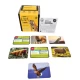 Joc lingvistic Learning Cube - Arca lui Noe Joc lingvistic Learning Cube - Arca lui Noe