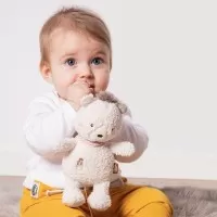 Jucarie muzicala bebe - Ursulet somnoros