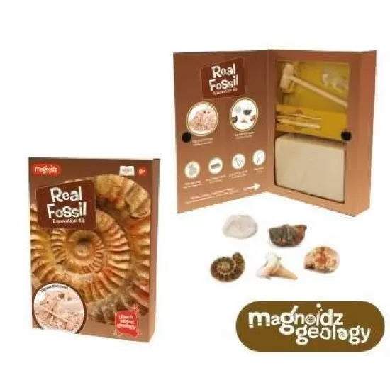 Kit paleontologie - Descopera fosile Kit paleontologie - Descopera fosile