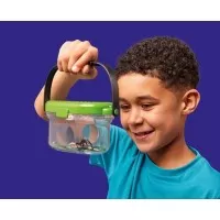 Observatorul pentru insecte